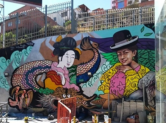 Grafite em La Paz/Bolívia, em destaque figura da “cholita”<br />Foto Adriana Idalina Rojas Gutierrez 