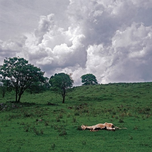 Fotografia do livro “Caminhando com Portinari”<br />Foto Alan Nielsen  [divulgação]