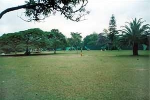 Praça com massa de vegetação ao fundo. Parque do Ibirapuera<br />Foto Wesley Macedo, 2004 