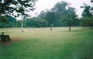 Praça com massa de vegetação ao fundo. Parque do Ibirapuera<br />Foto Wesley Macedo, 2004 