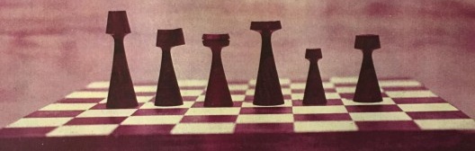 Curiosidades sobre o Xadrez que você não sabia - Bonito Informa