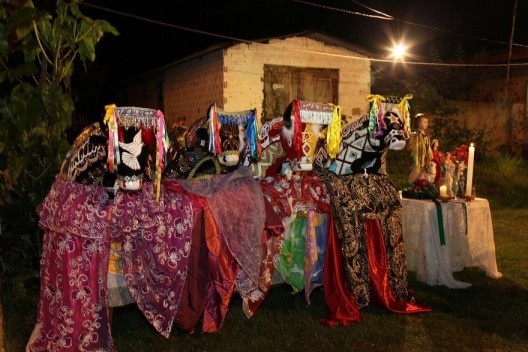Cerimônia de batizado dos bois da Pindoba, festa Bumba meu boi, Maranhão<br />Foto Edgar Rocha  [Portal Iphan]