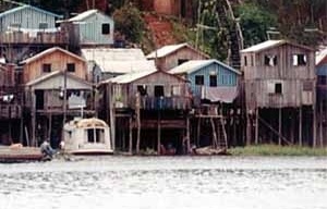 Figure 3 – Stilted houses on Rio Negro, built according to river floods<br />Foto Beatriz Santos Oliveira 