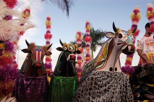 Festa Bumba meu boi, Maranhão<br />Foto Edgar Rocha  [Portal Iphan]
