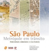 São Paulo: metrópole em trânsito